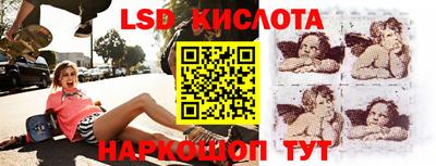 PSILOCYBIN Краснодар