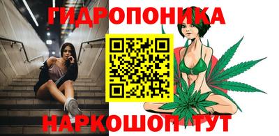 PSILOCYBIN Краснодар