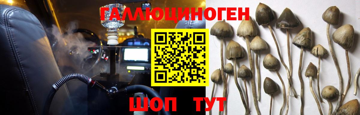 Галлюциногенные грибы прущие грибы Котельники